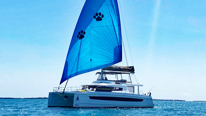 Yacht charter blog - catamaran catatonic